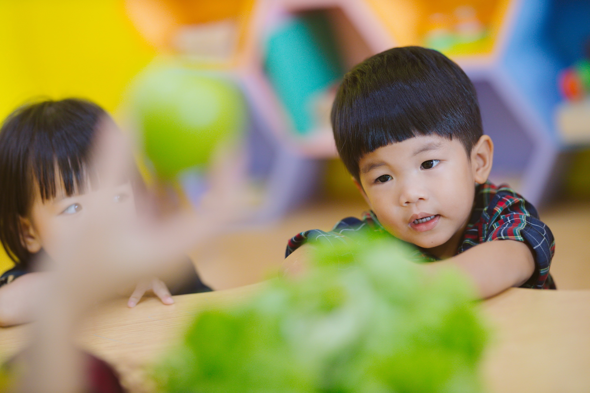 gallery-qualitykids_005