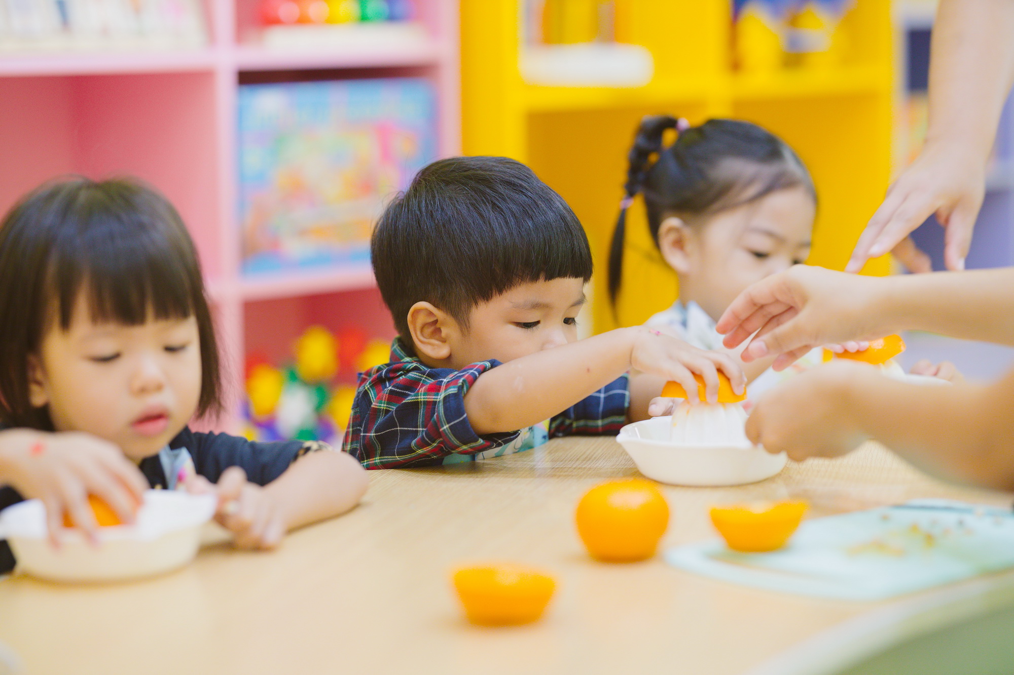 gallery-qualitykids_014